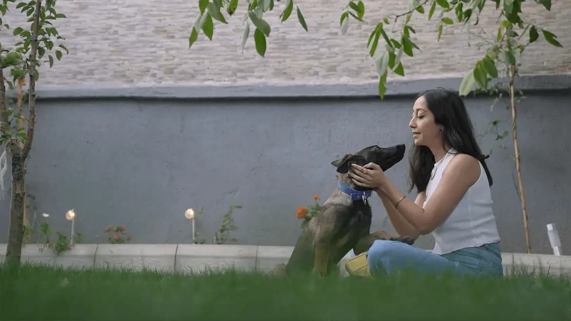 Video preview showcasing the pet boarding experience offered by HealYourPaws pet centre